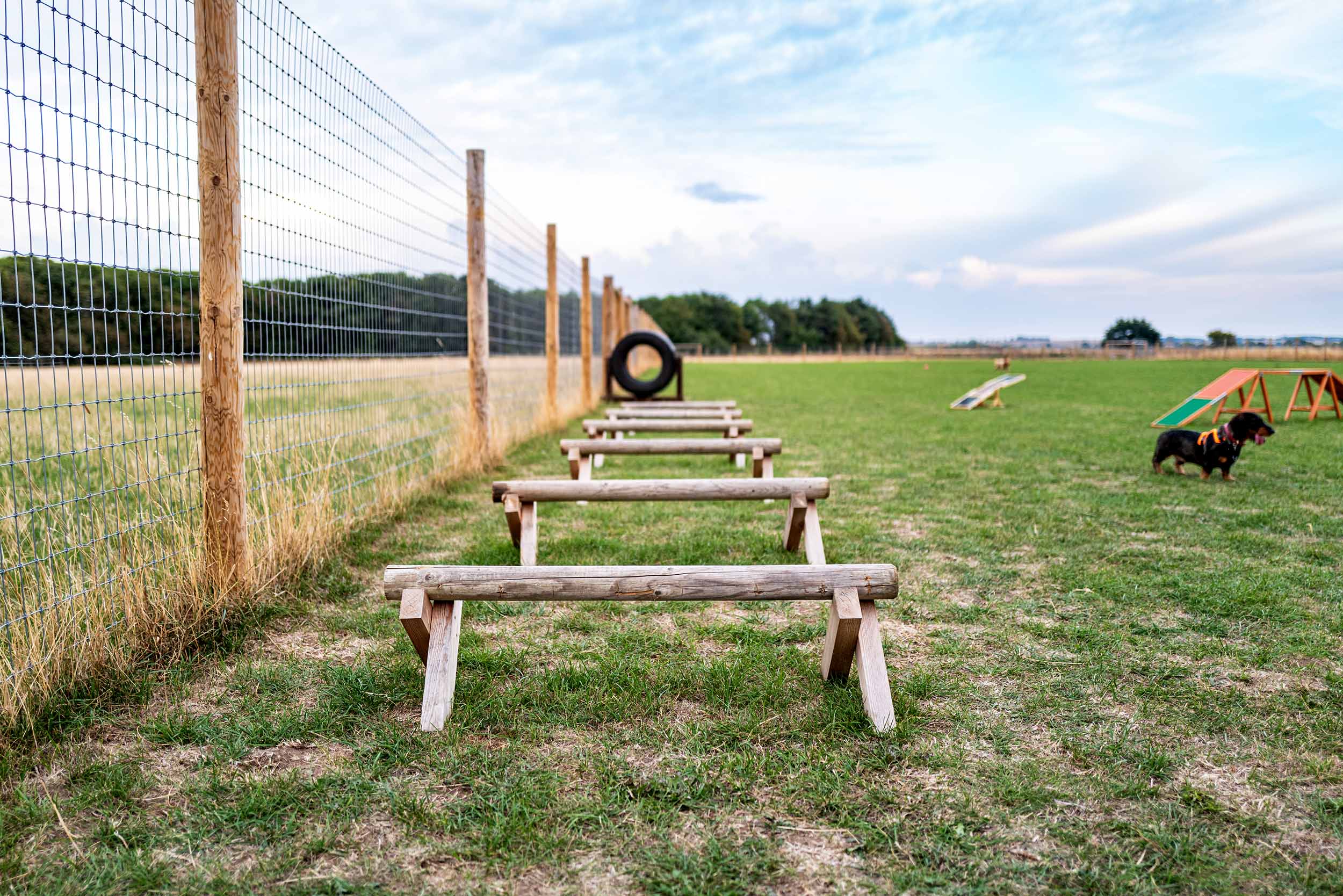 Fenced dog run with activities for play