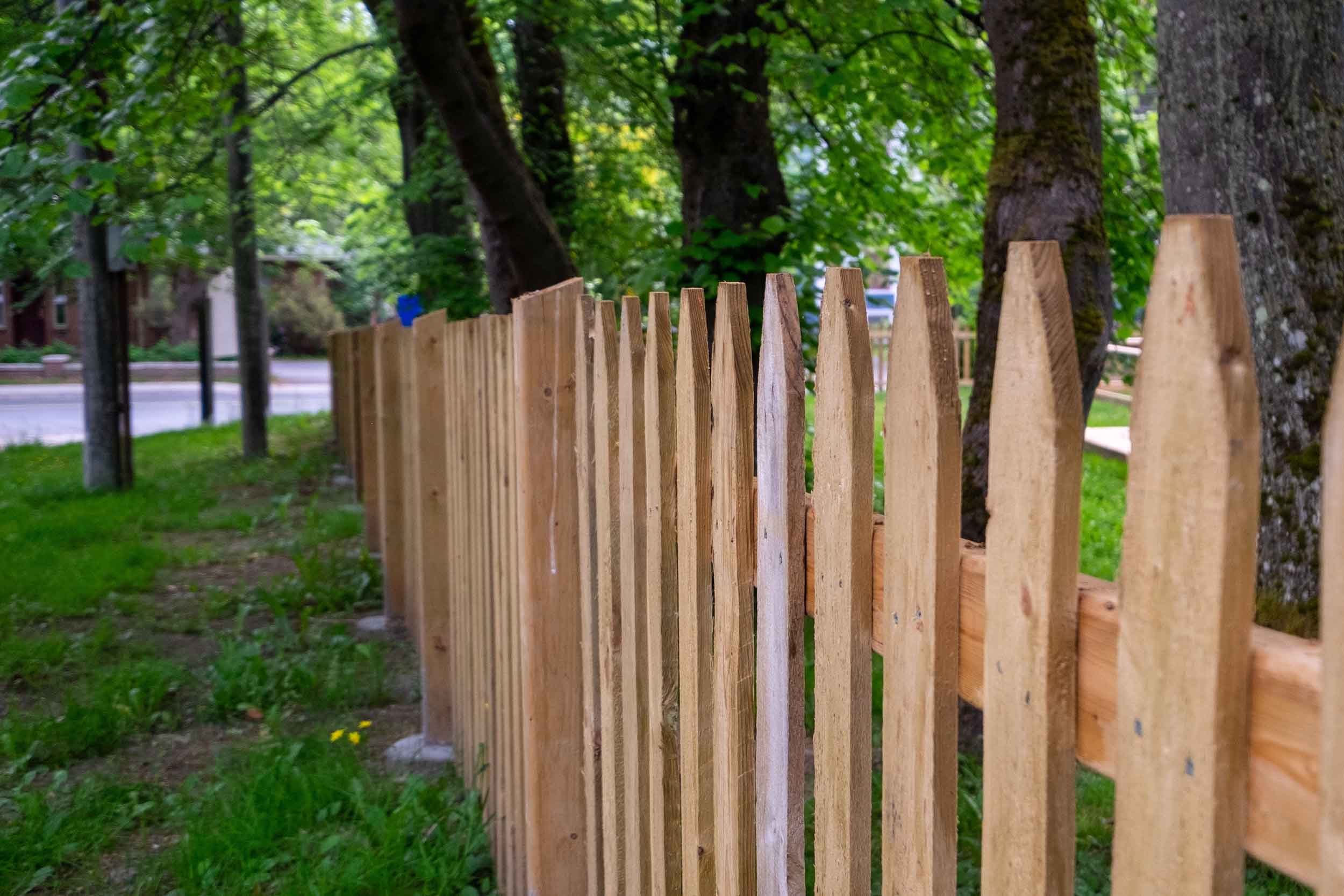A new untreated wooden picket fence with leaves, tree needles, and soil on one side and green grass and large maple trees on the far side.