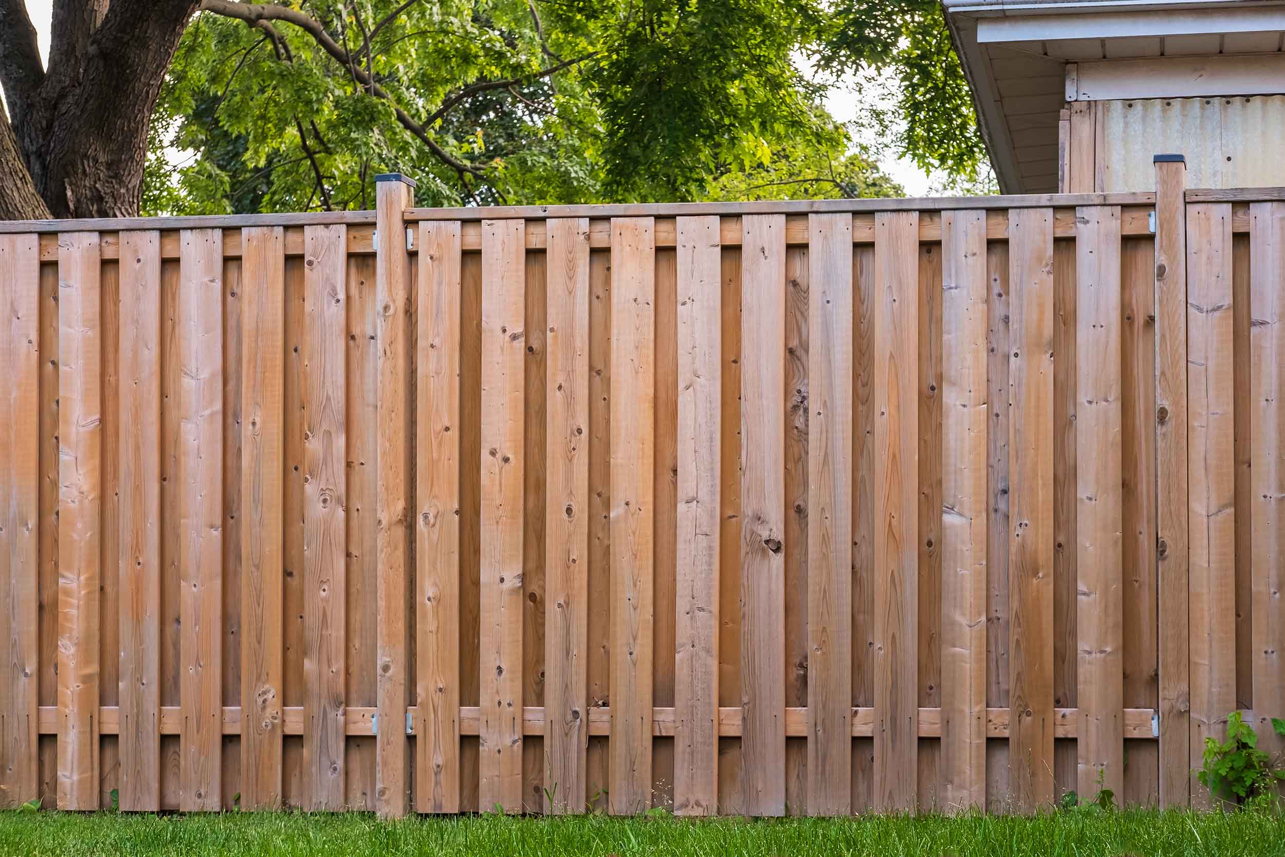Nice new wooden fence around house. Wooden fence with green lawn.