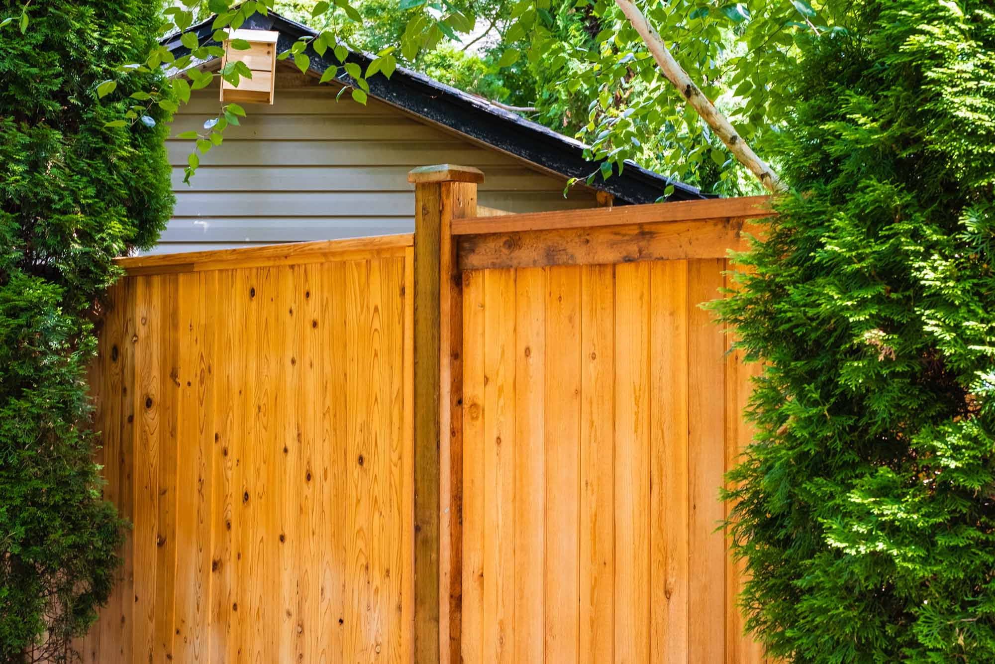 Beautiful new wooden fence around the house.