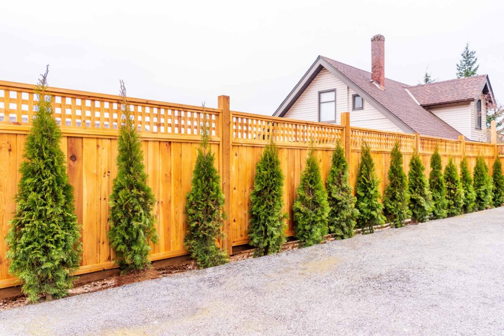 Residential cedar fence with well-maintained bushes outside