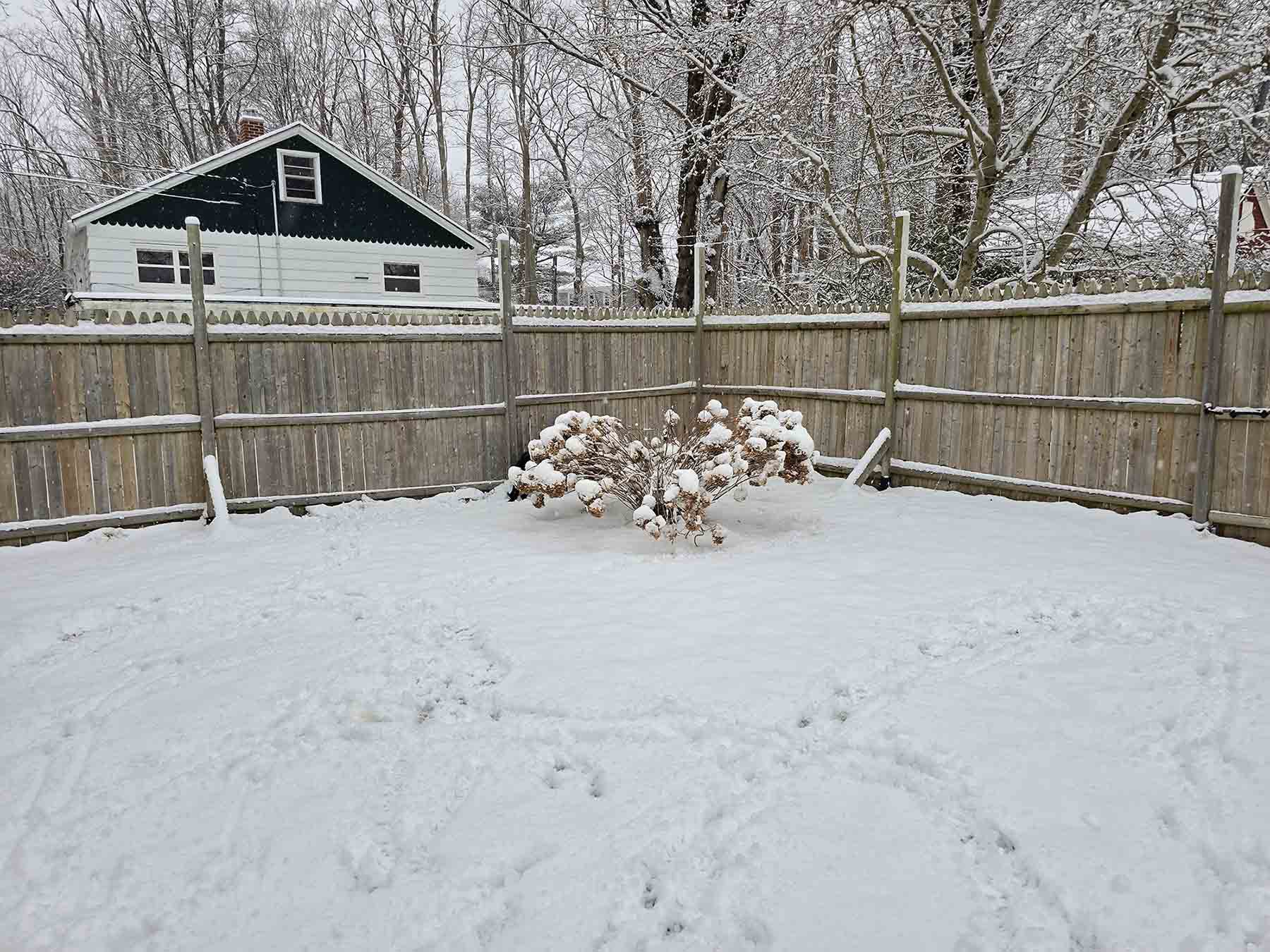 A snowy fenced in backyard view on a winter day.
